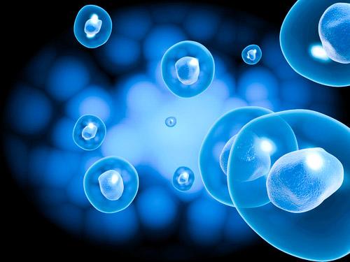 How Regenerative Medicine Injections Help the Healing Process?